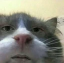 umm