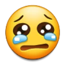 sadlittleguy