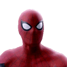 Spider Whoo