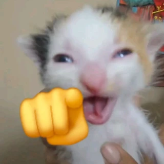 Ehuehue