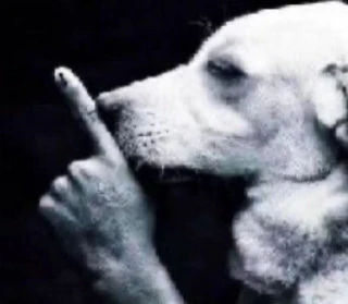shhh