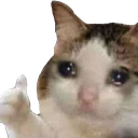 JestGit