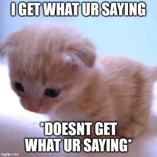 I get what ur saying