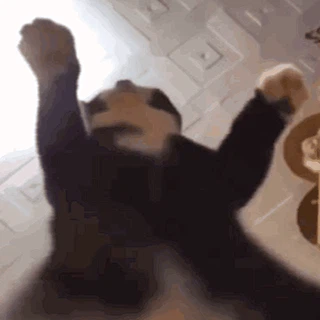 eat this