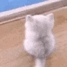catwait